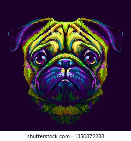 Pug. Abstract multicolored portrait of the head of a pug breed dog on a dark purple background.