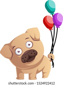 Pug with balloons, illustration, vector on white background.
