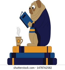 Pug in a bath robe reading a book; Cute dog spends leisure time