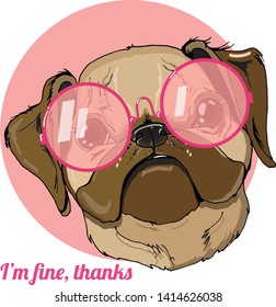 Pug breed dog in sunglasses and I'm fine, thanks