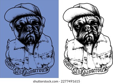 Pug in a Cap, Inscription - Sweet and Dangerous, Tattoo Style Vector Illustration 