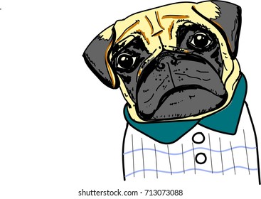 pug cartoon vector funny dog face art animal background whimsical cute drawing isolated illustrator breed
