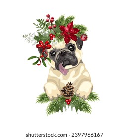 
Pug Christmas wreath postcard. Christmas flower composition . Isolate, vector illustration.