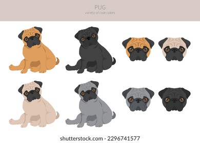 Pug clipart. Different poses, coat colors set.  Vector illustration