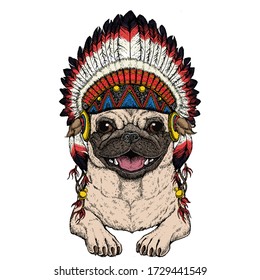 Pug. Cute animal portrait. Dog head. Indian traditional headdress.