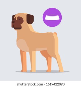 pug cute dog dreaming about food furry human friends home pets cartoon animals concept full length vector illustration
