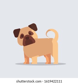 pug cute dog icon furry human friends home animals concept full length vector illustration