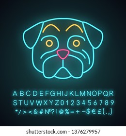 Pug cute kawaii neon light character. Dog with hushed muzzle. Domestic doggie with raised eyebrows. Funny emoji, emoticon. Glowing icon with alphabet, numbers, symbols. Vector isolated illustration