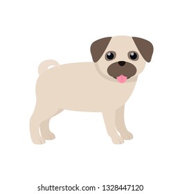 Pug. Cute purebred dog. Isolated vector illustration