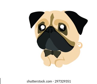 PUG DOG