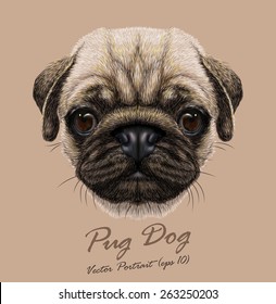 Pug dog animal cute face. Vector funny happy doggy head portrait. Realistic fur portrait of wrinkly pug puppy isolated on beige background.