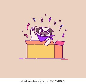 Pug dog appears from a box. Flat vector illustration