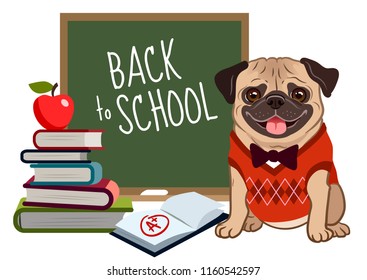 Pug dog back to school cartoon illustration. Cute friendly pug puppy, smiling with tongue out, wearing argyle vest and bow tie, near blackboard, stack of books, textbook with a plus mark, apple. 