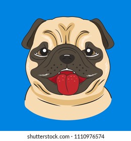 Pug dog with blue background