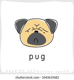 Pug : Dog Breed Collection : Vector Illustration
