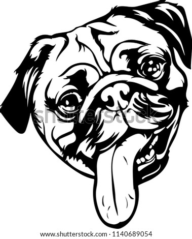 Pug dog breed pet 