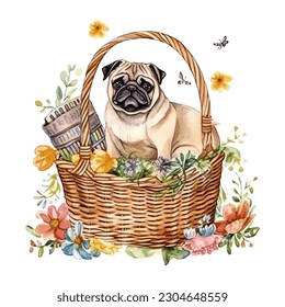 Pug Dog Breed in Picnic Basket with Flowers Watercolor Vector Illustration