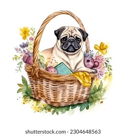 Pug Dog Breed in Picnic Basket with Flowers Watercolor Vector Illustration