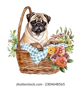 Pug Dog Breed in Picnic Basket with Flowers Watercolor Vector Illustration