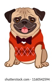 Pug dog cartoon illustration. Cute friendly fat chubby fawn sitting pug puppy, smiling with tongue out, wearing argyle vest and bow tie. Pets, dog lovers, animal themed  element isolated on white.