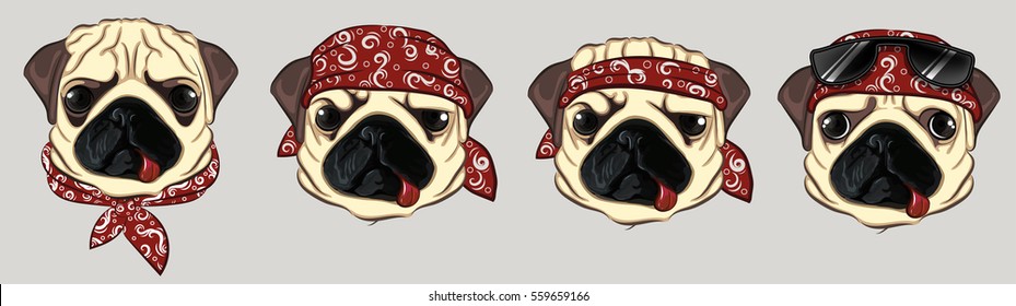 pug dog cartoon set