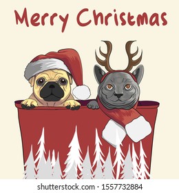 pug dog and cat celebrating christmass 