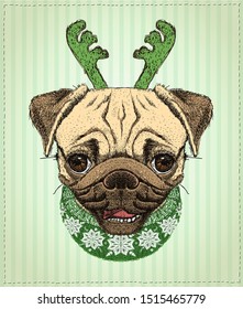 Pug dog Christmas portrait, hand drawn illustration with cute pug dog dressed in Christmas clothing
