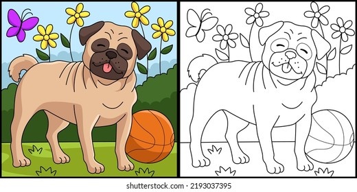 Pug Dog Coloring Page Colored Illustration