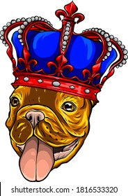 Pug Dog with crown on a white background