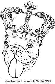 Pug Dog with crown on a white background