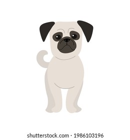 Pug dog. Cute dog character. Vector illustration in cartoon style for poster, postcard.