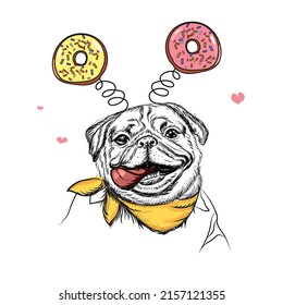 Pug dog with donut hat. Funny animals. Humor poster, t-shirt composition