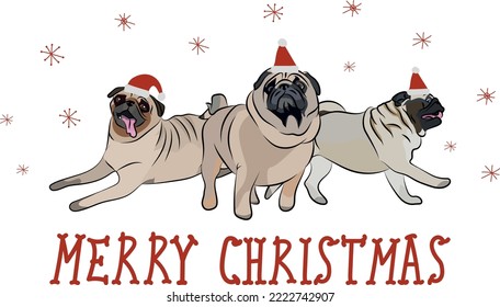 Dibujo de perro de pug. Personajes de perros en diferentes poses, diseños para huellas, adorables y lindos juegos de vectores de tiras de Navidad, en diferentes poses con sombreros, una linda mascota sonriente.