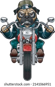 Pug dog driving on a motorcycle