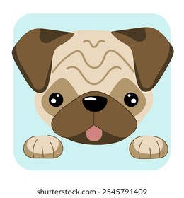 Pug dog face flat vector illustrtion. Pug dog icon