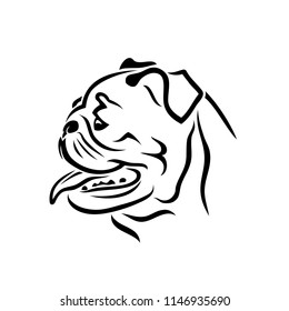 Pug dog face - isolated vector illustration