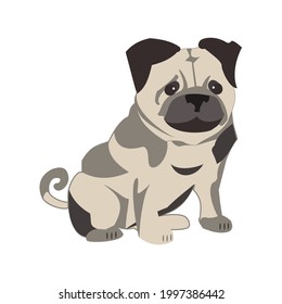 Pug dog Flat vector icon illustration on white background