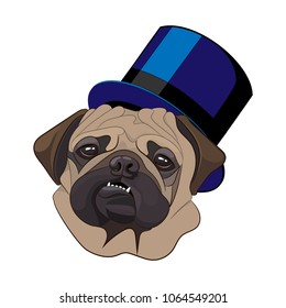 Pug dog, gentleman in hat with a top hat  . Character, icon. Vector illustration.