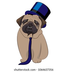 Pug dog, gentleman in hat with a top hat and tie. Character, icon. Vector illustration.