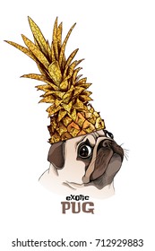 Pug dog in a gold Pineapple crown. Vector illustration.