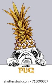 Pug dog in a gold Pineapple crown. Vector illustration.