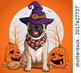 Pug dog in halloween disguise sitting on a broom and wearing witch hat with pumpkins on his sides