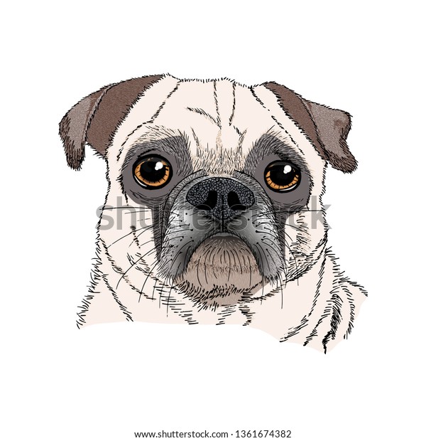 pug template browser