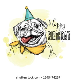 Pug dog in a hat. Funny animals. Happy Birthday card. Humor poster, t-shirt composition