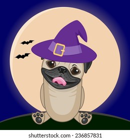 Pug Dog in hat on the background of the moon 