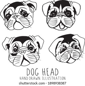 Pug Dog Head Hand Drawn Illustration
