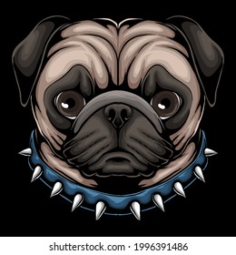 Pug dog head a wearing collar vector illustration for your company or brand