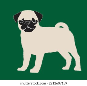 Pug dog. Dog healthy silhouette and poses background. Vector illustration. Flat style dogs collection. Cartoon dogs breeds set. Illustration isolated
