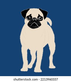Pug dog. Dog healthy silhouette and poses background. Vector illustration. Flat style dogs collection. Cartoon dogs breeds set. Illustration isolated