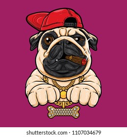 Pug dog with hiphop style